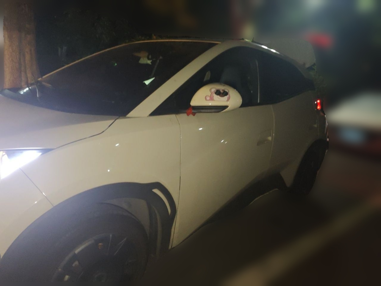 Seagull 2025 305km
