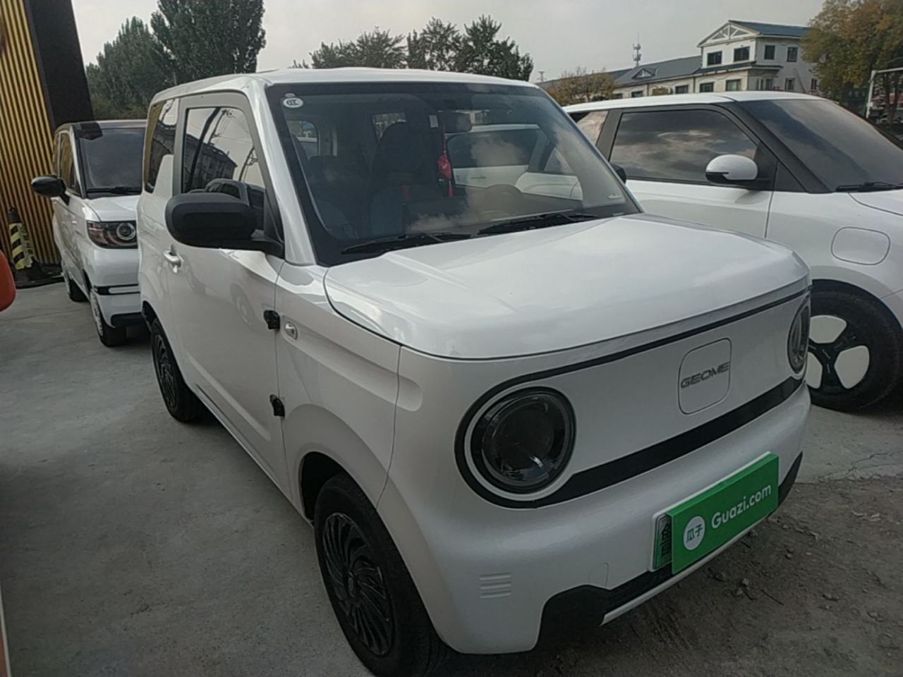 2023 Panda mini 200km Endurance Bear photo 3