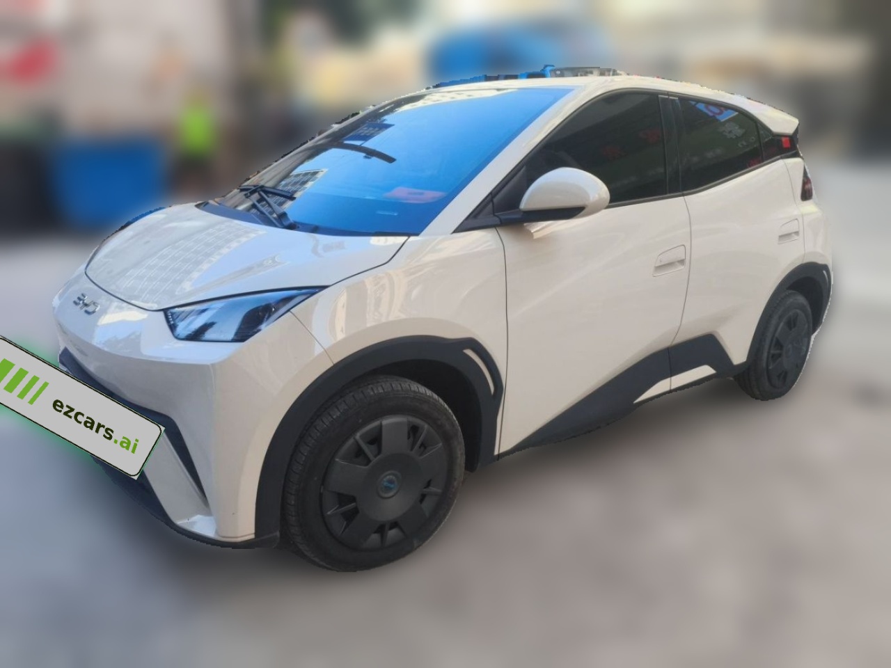 Seagull 2024 Honor 305km