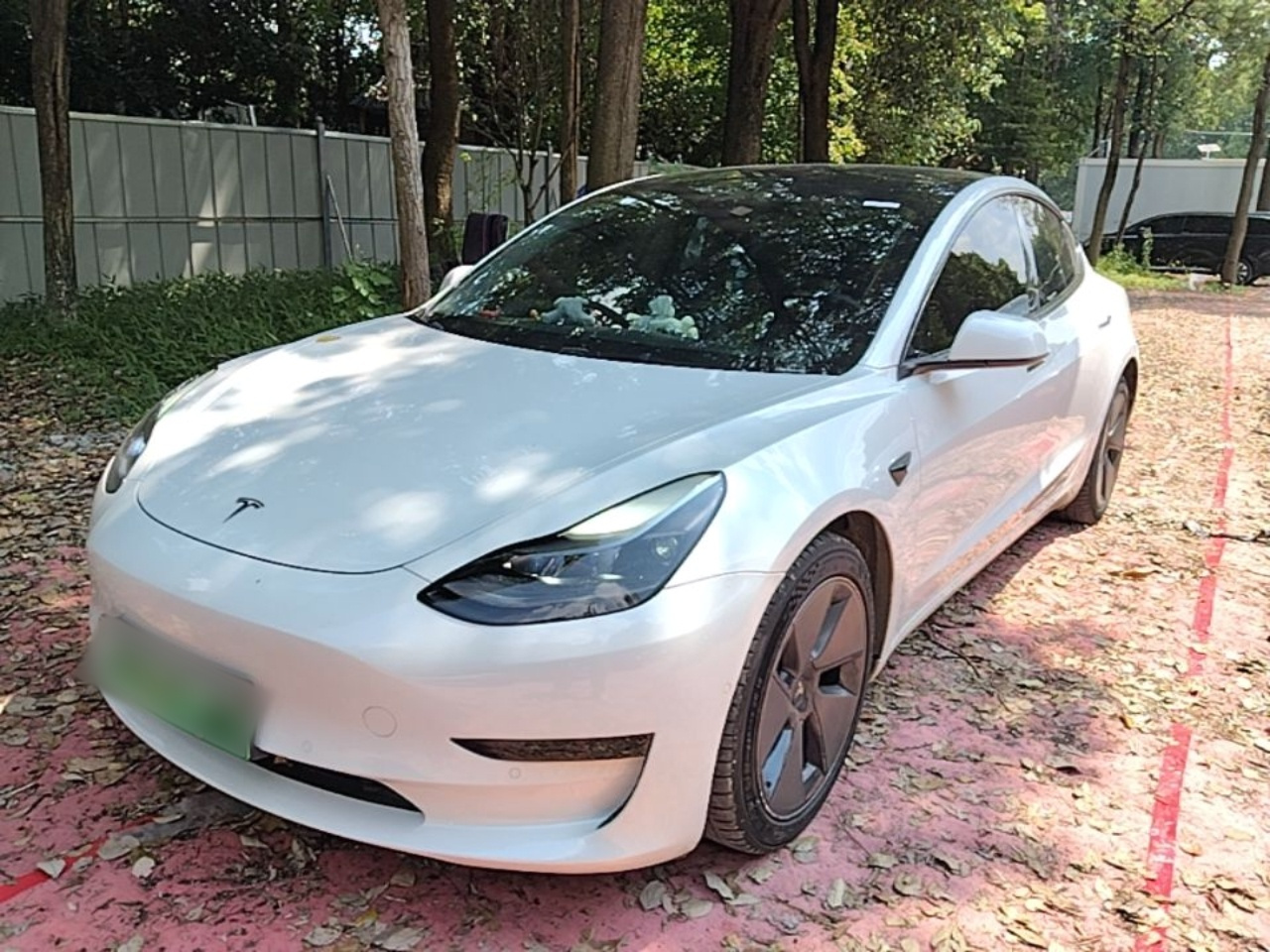 Model 3 2021 Standard Range RWD Upgraded 3D6