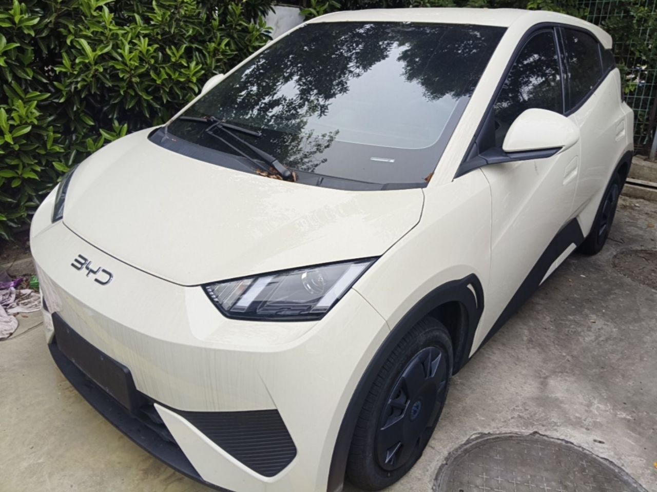 Seagull 2025 305km