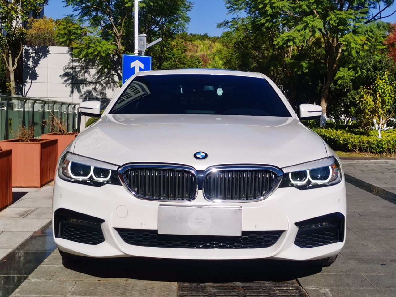 5 Series 2019 525Li M Sport Package photo 3