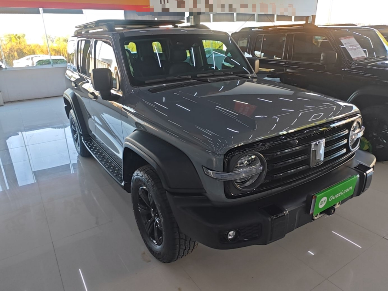 300 2021 Off-road 2.0T Conqueror photo 3
