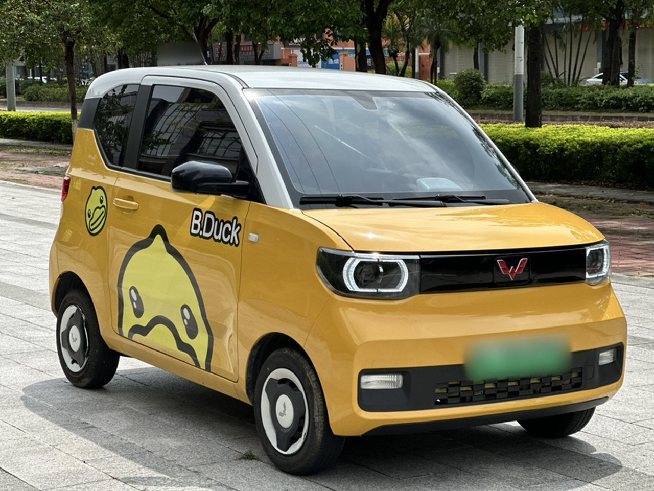 Hongguang MINIEV 2022 Macaron LFP photo 2