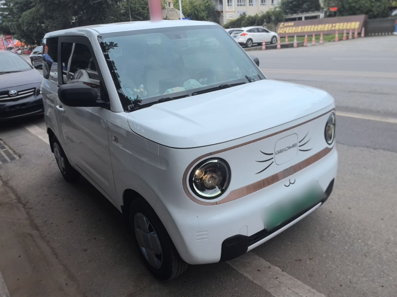 2023 Panda mini 200km Endurance Bear photo 3