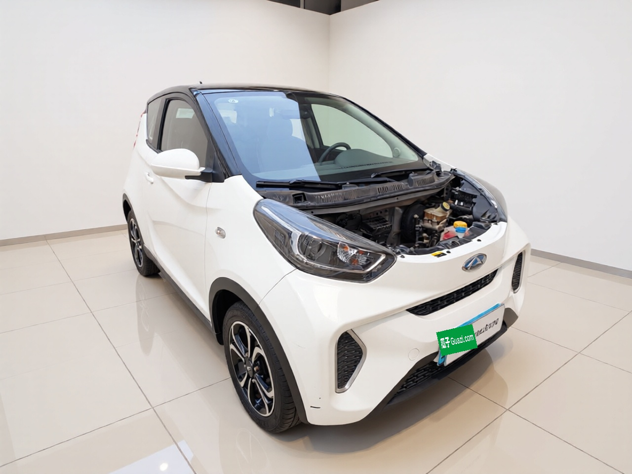 QQ Little Ant 2021 15 LFP photo 3