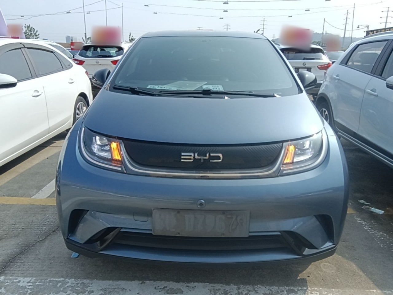 Dolphin 2024 Honor 420km photo 2
