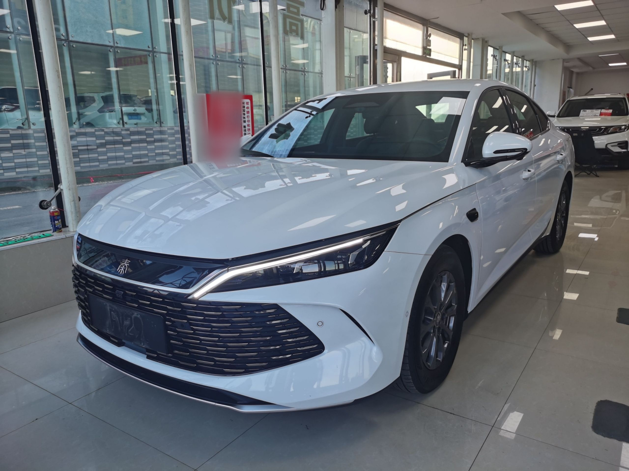 Qin L 2025 DM-i ADAS 80KM Leading