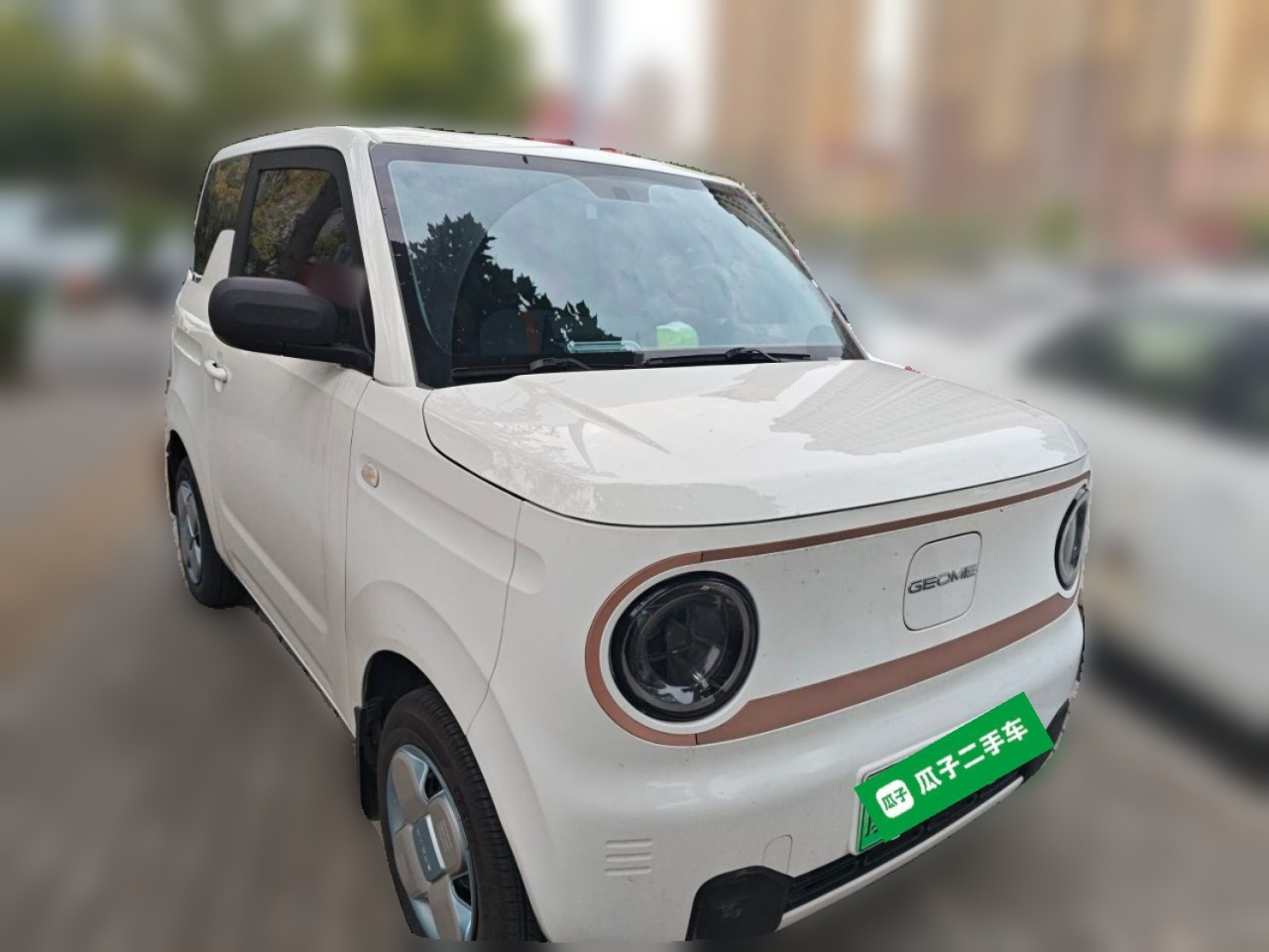 2024 Panda mini 200km Endurance Bear photo 3