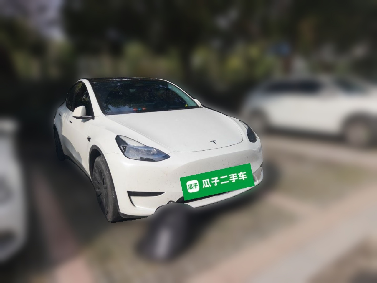 Model Y 2024 RWD photo 3