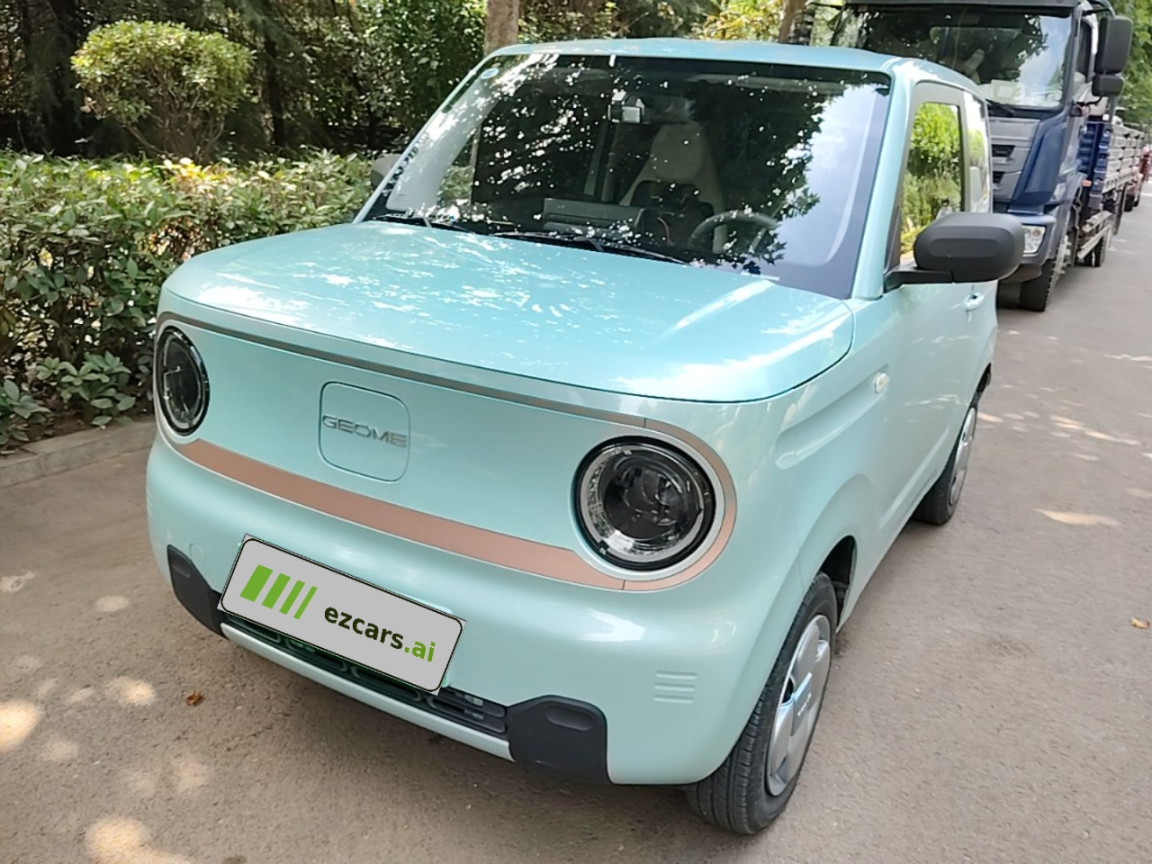 2024 Panda mini 200km Endurance Bear