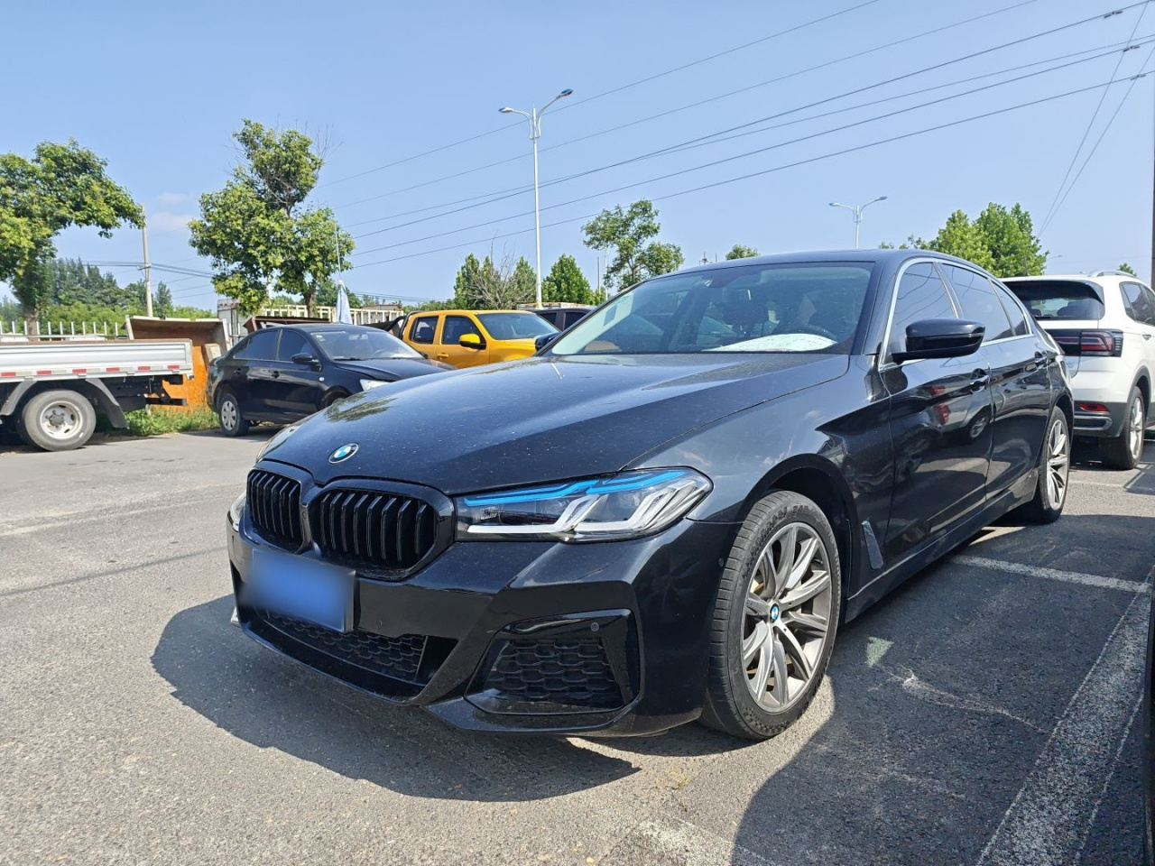 5 Series 2018 528Li Special