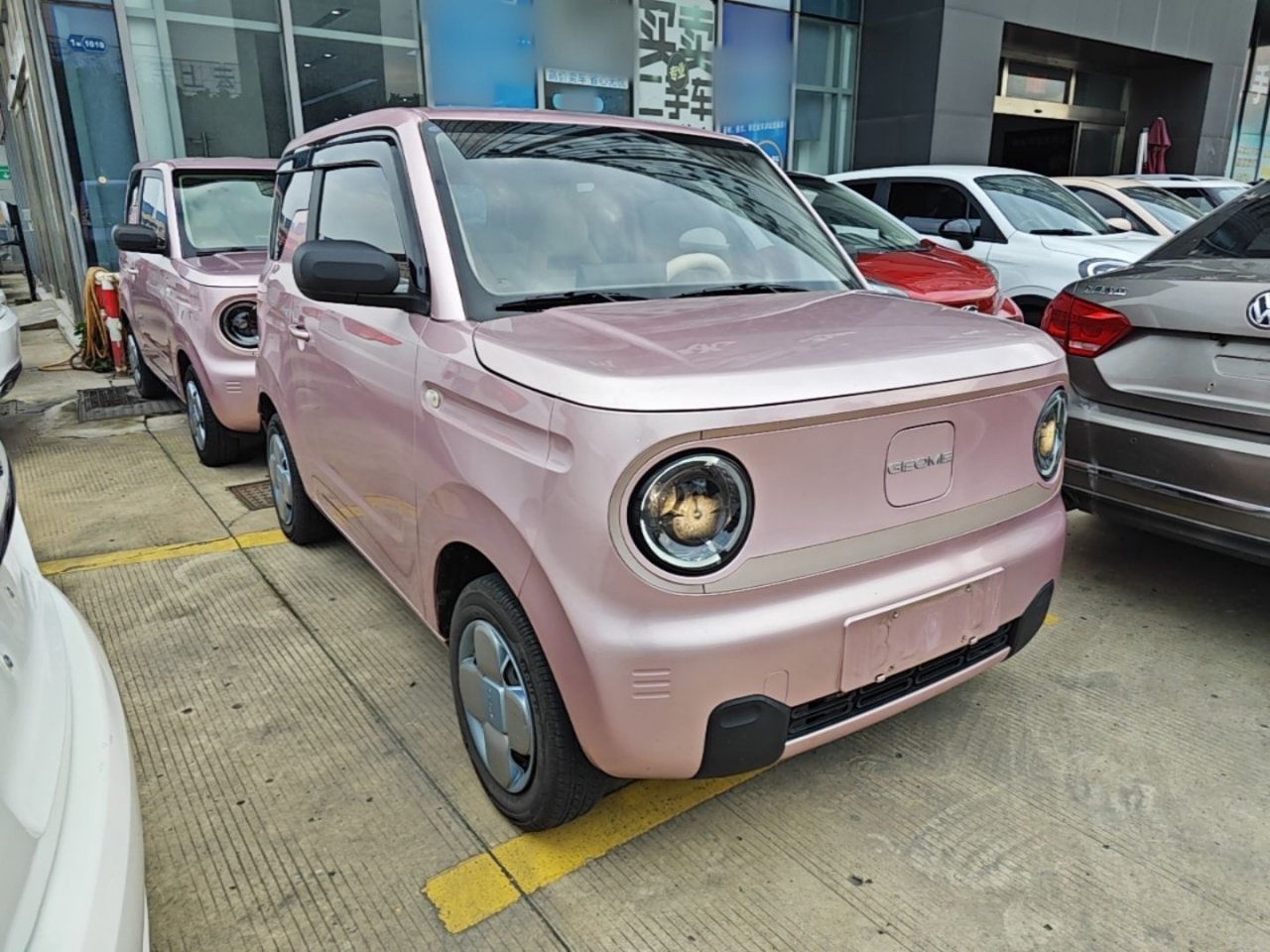2023 Panda mini 200km Endurance Bear photo 3