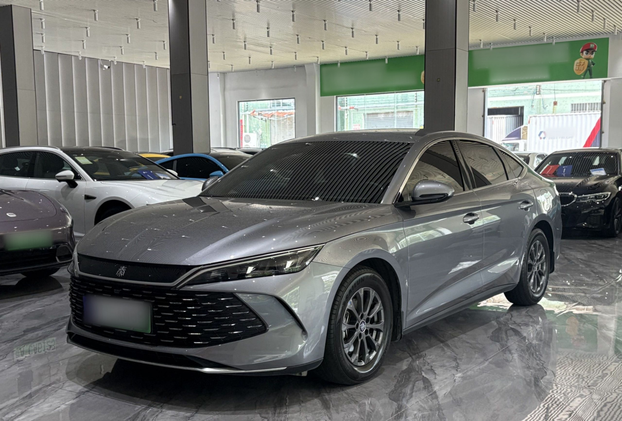 Qin L 2024 DM-i 80KM Leading