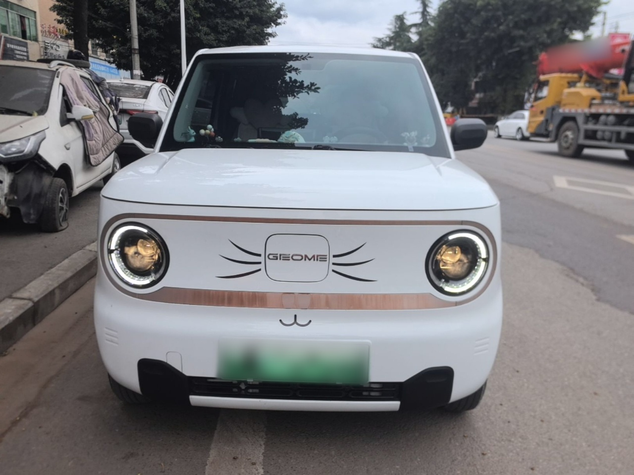 2023 Panda mini 200km Endurance Bear photo 2