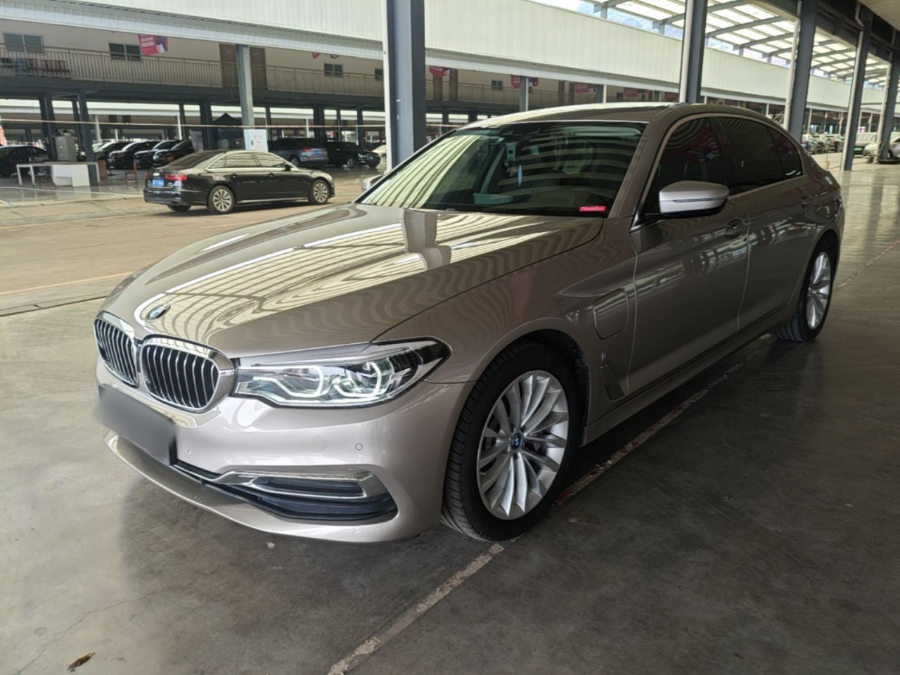 5 Series EV 2019 Facelift 530Le Luxury