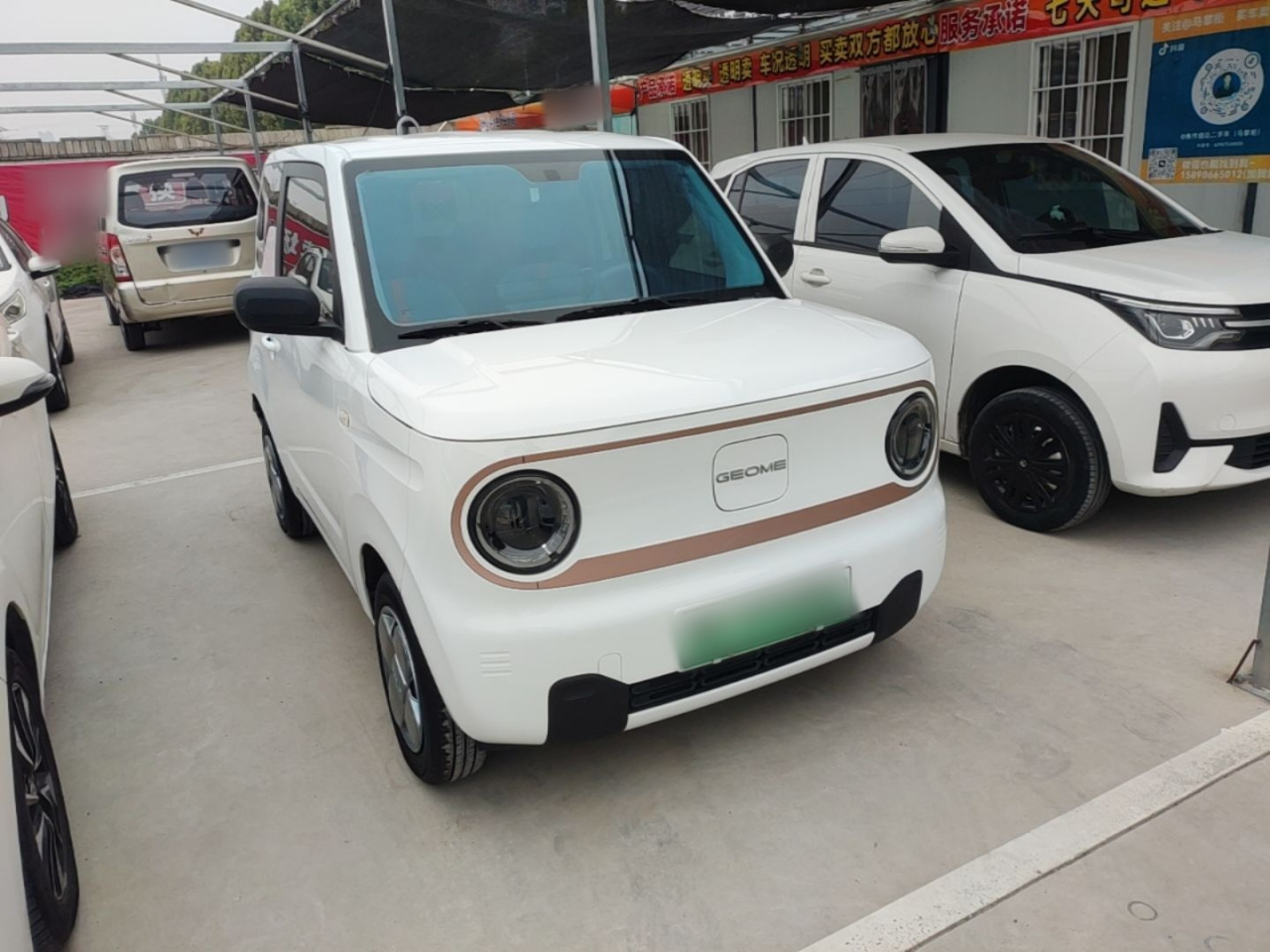 2024 Panda mini 200km Endurance Bear photo 5