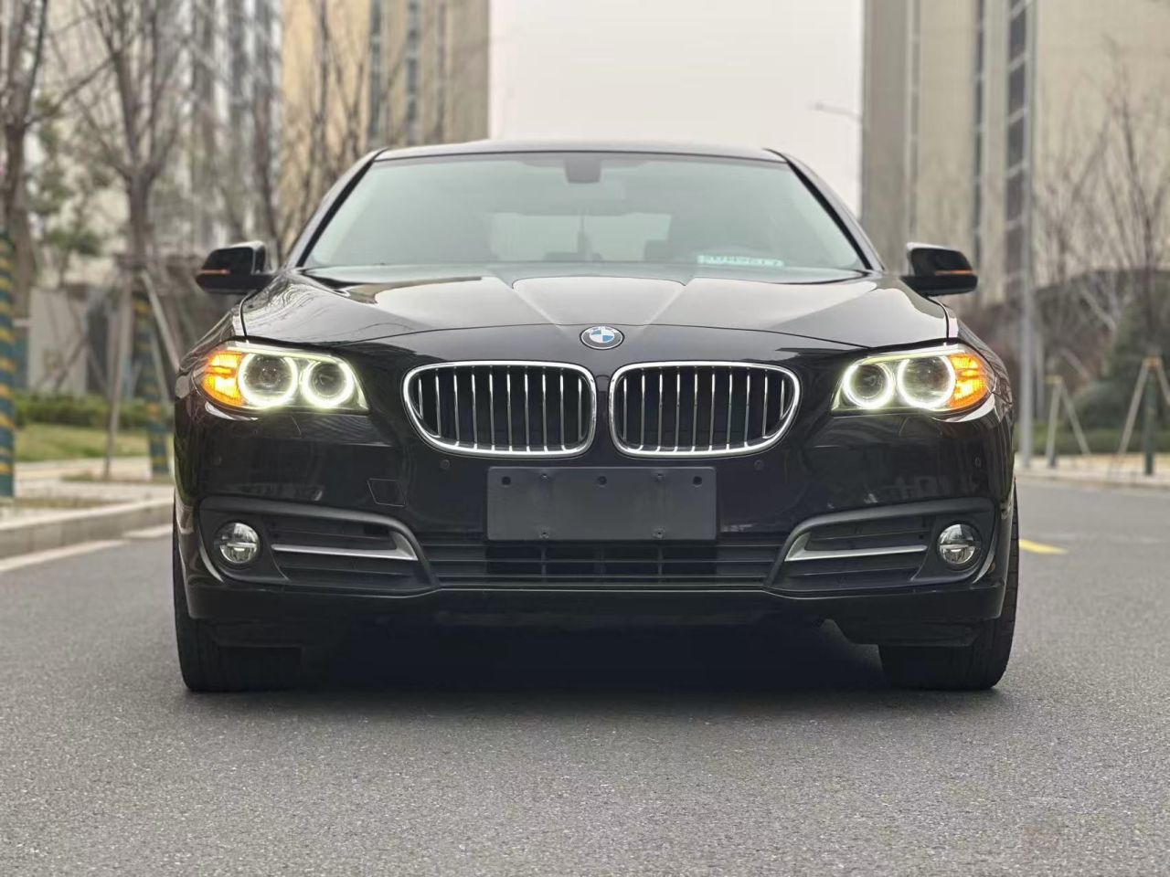 5 Series 2017 525Li Leading photo 2