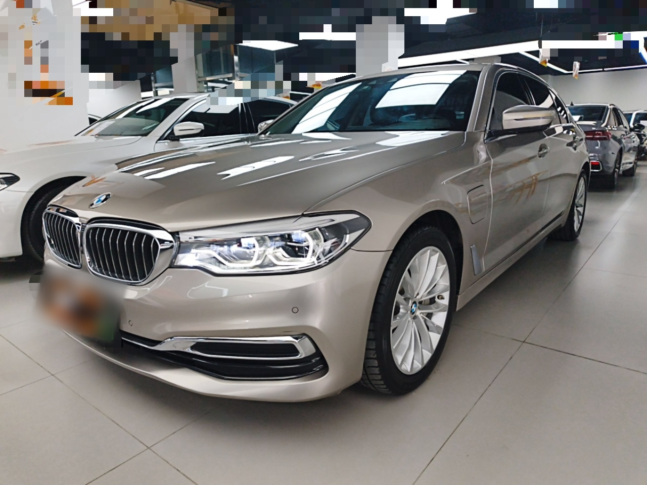 5 Series EV 2020 Upgraded 530Le Luxury