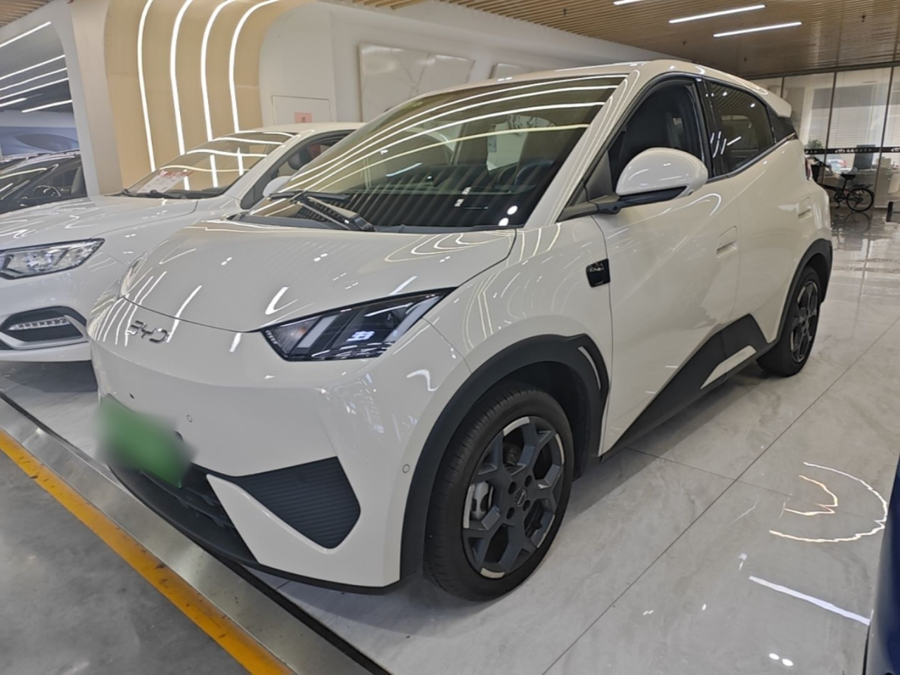Seagull 2025 ADAS 305km