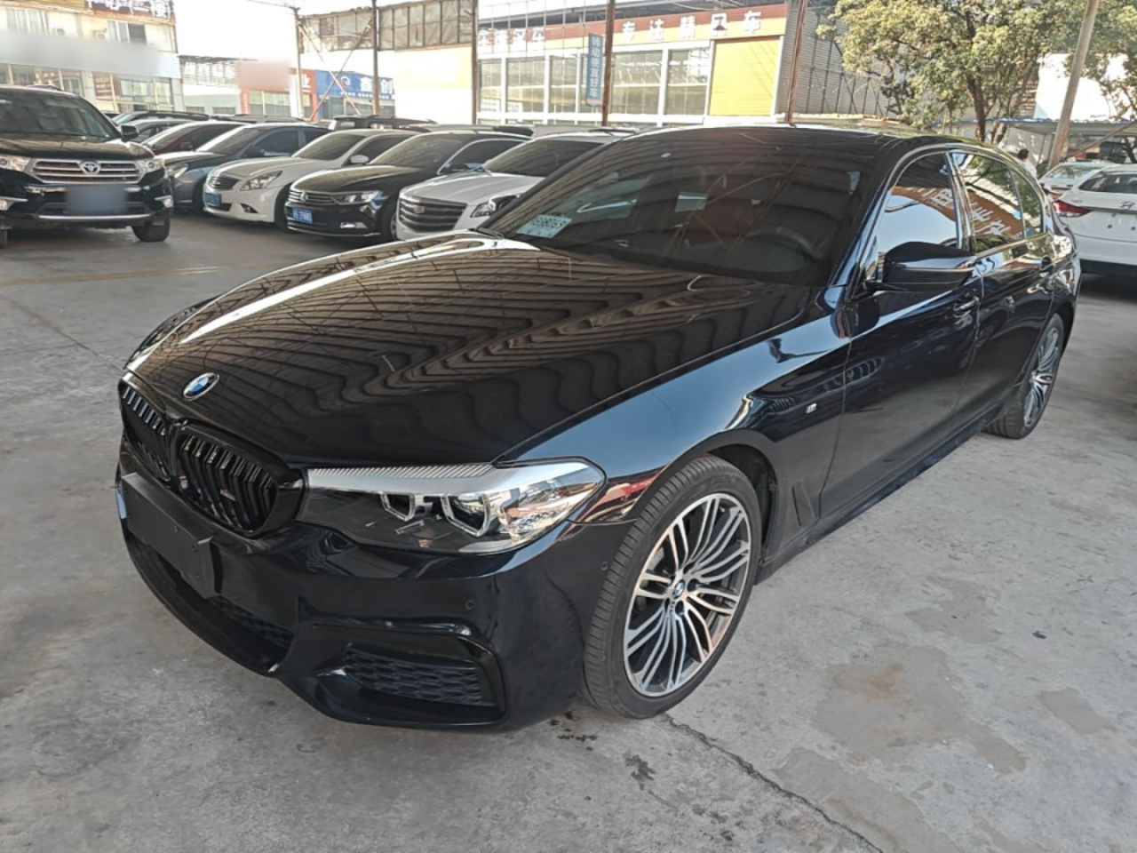5 Series 2019 530Li Leading M Sport Package