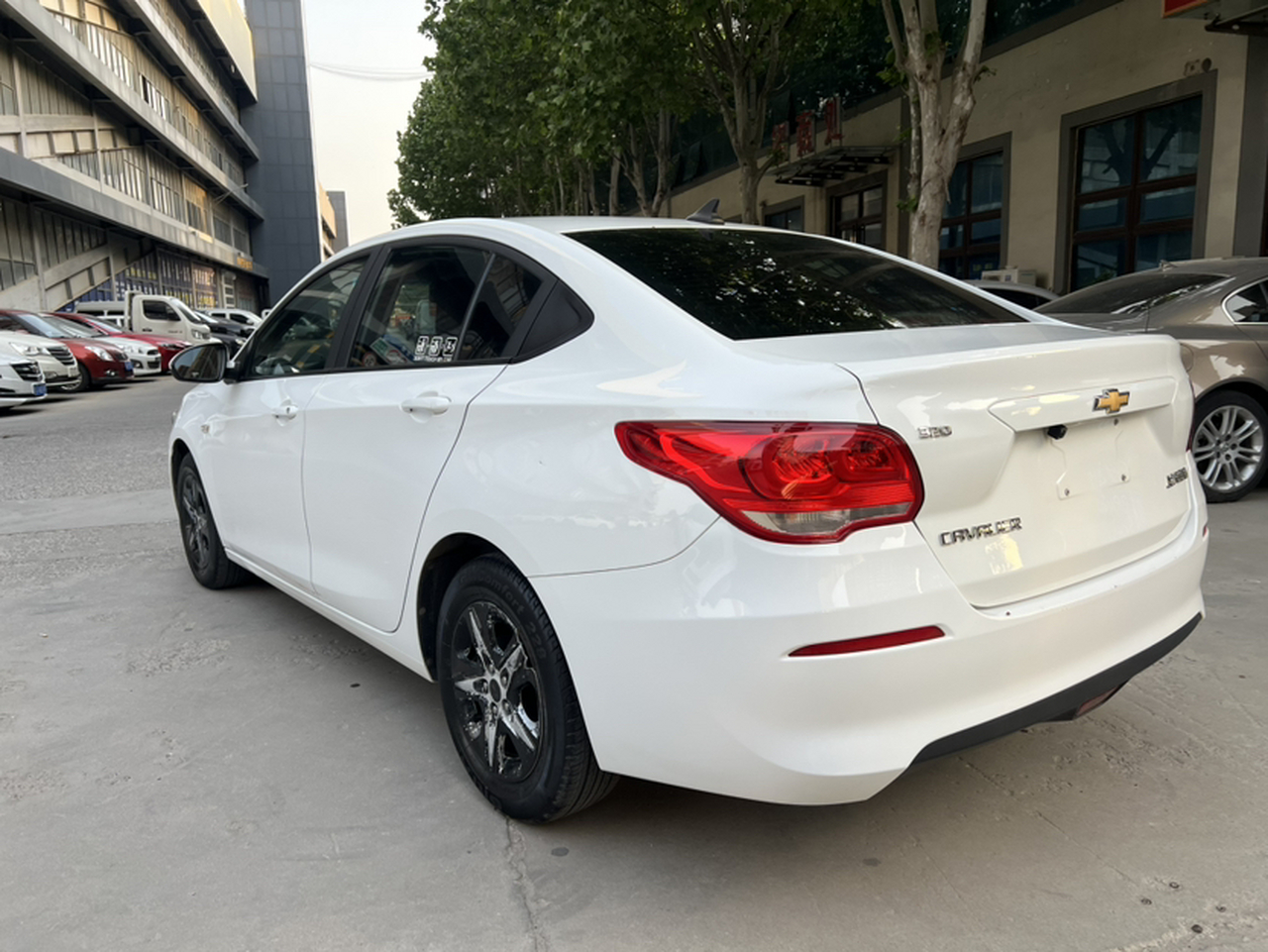 Cavalier 2019 320 MT photo 4
