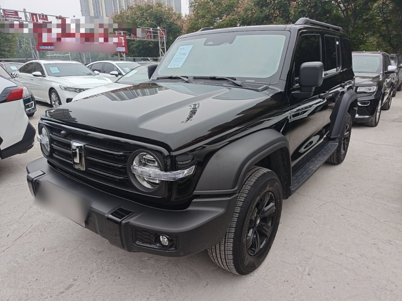300 2025 2.0T Petrol Conqueror