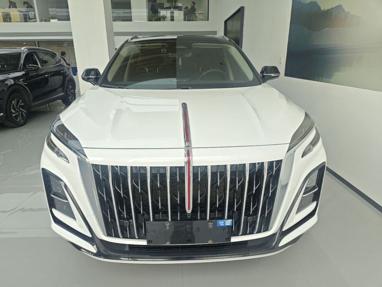 HS3 PHEV 2025 117km photo 2