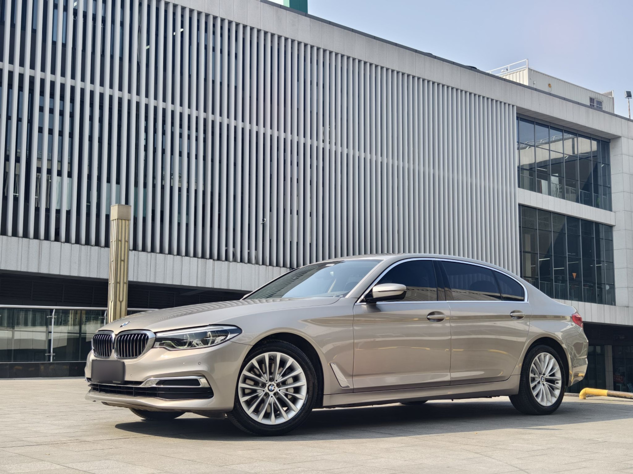 5 Series 2020 530Li Leading Luxury