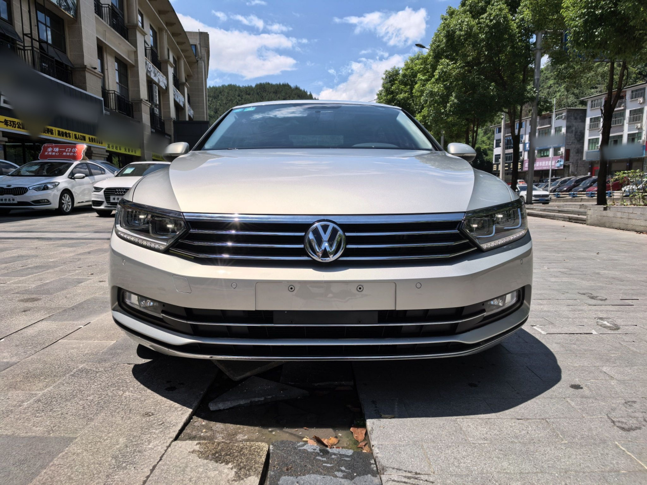 Magotan 2019 330TSI DSG Leading China VI photo 4