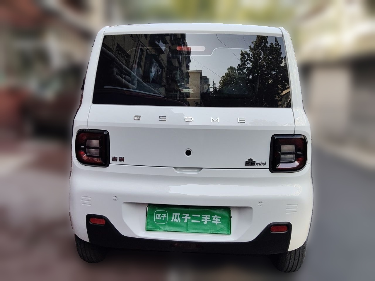 2024 Panda mini 200km Endurance Bear photo 3