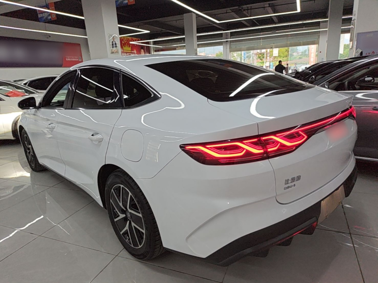 Qin L 2024 DM-i 80KM photo 4