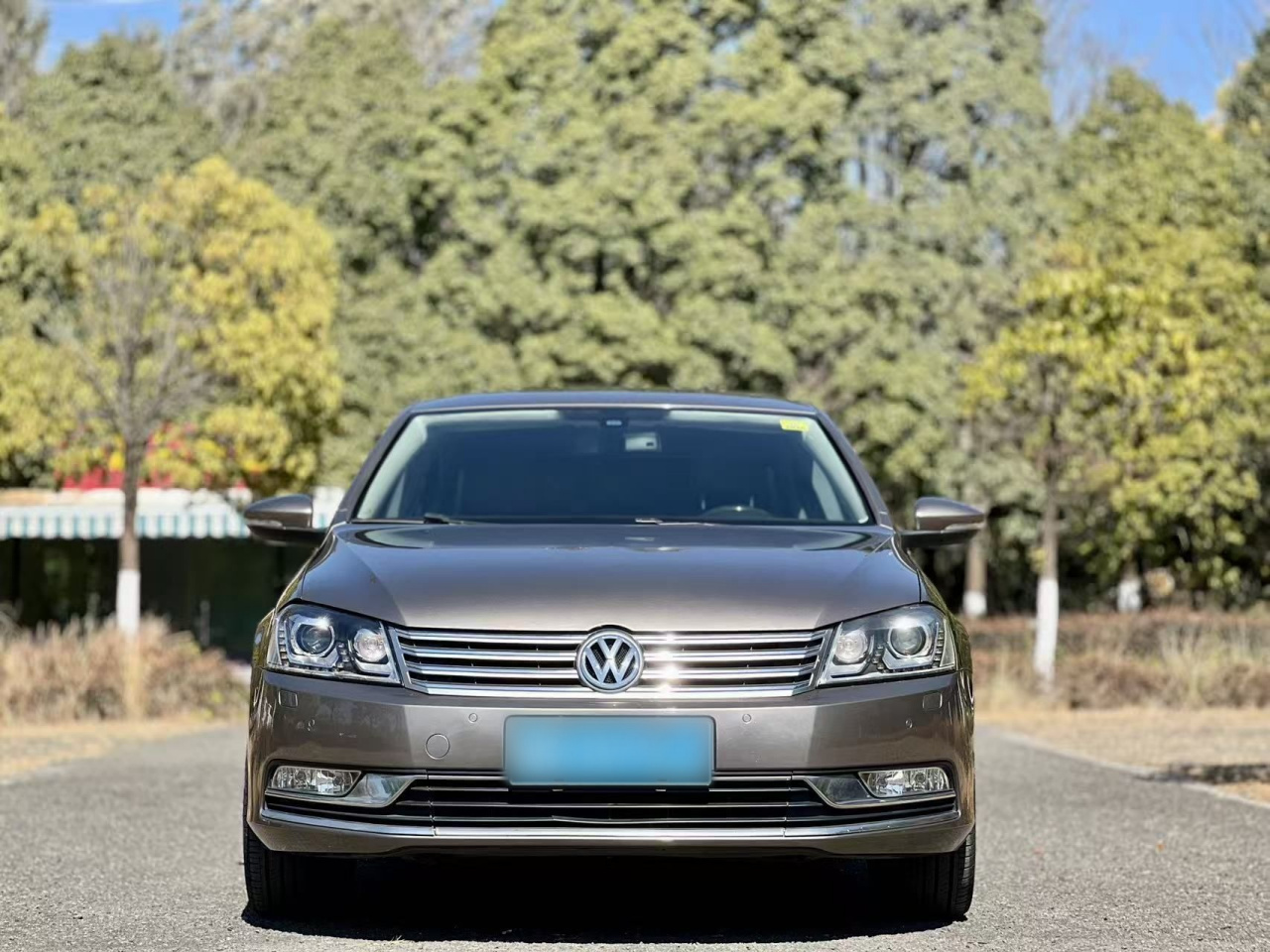 Magotan 2013 2.0TSI Premium photo 3