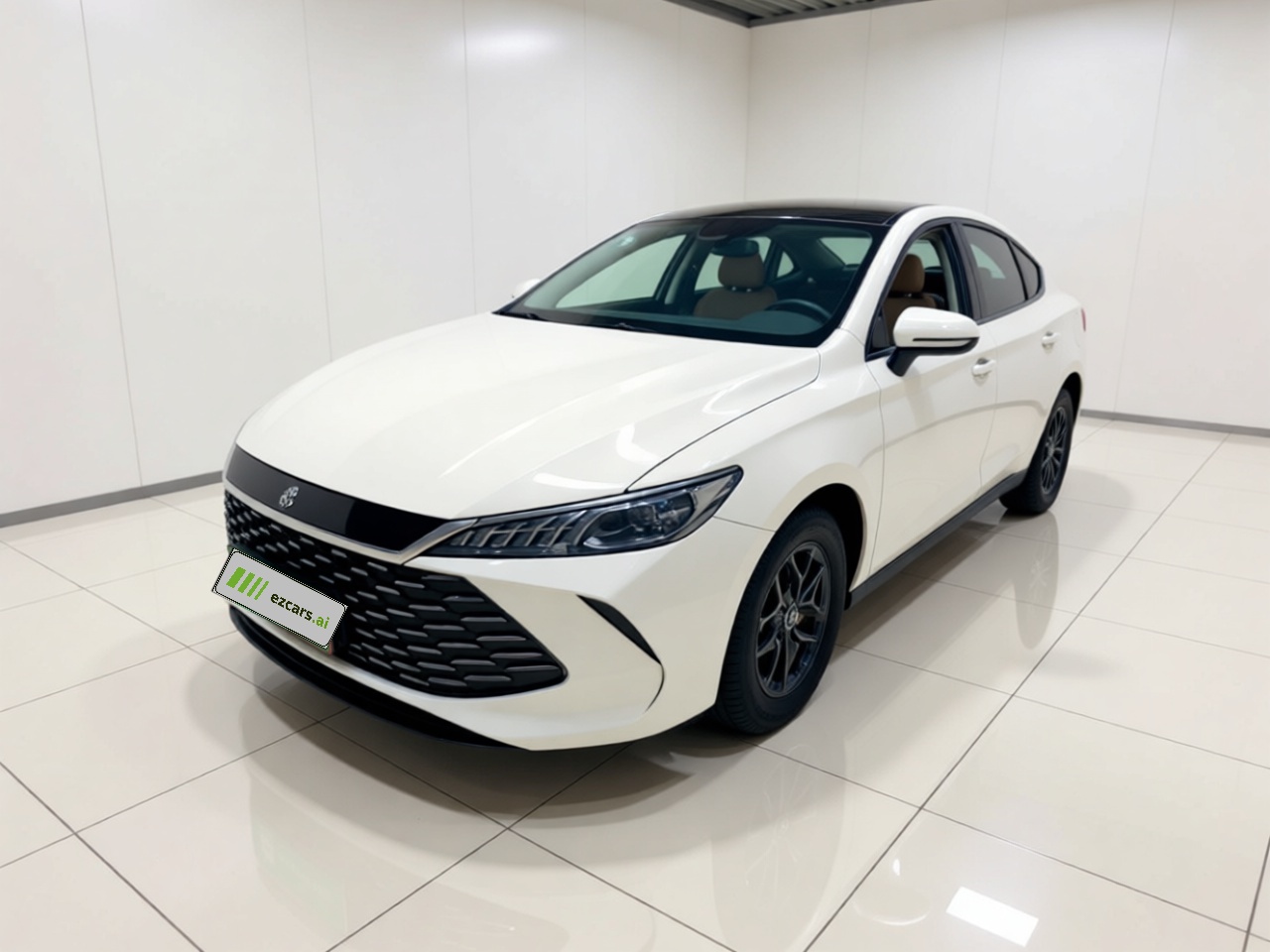 Qin PLUS 2025 DM-i ADAS 55KM Leading