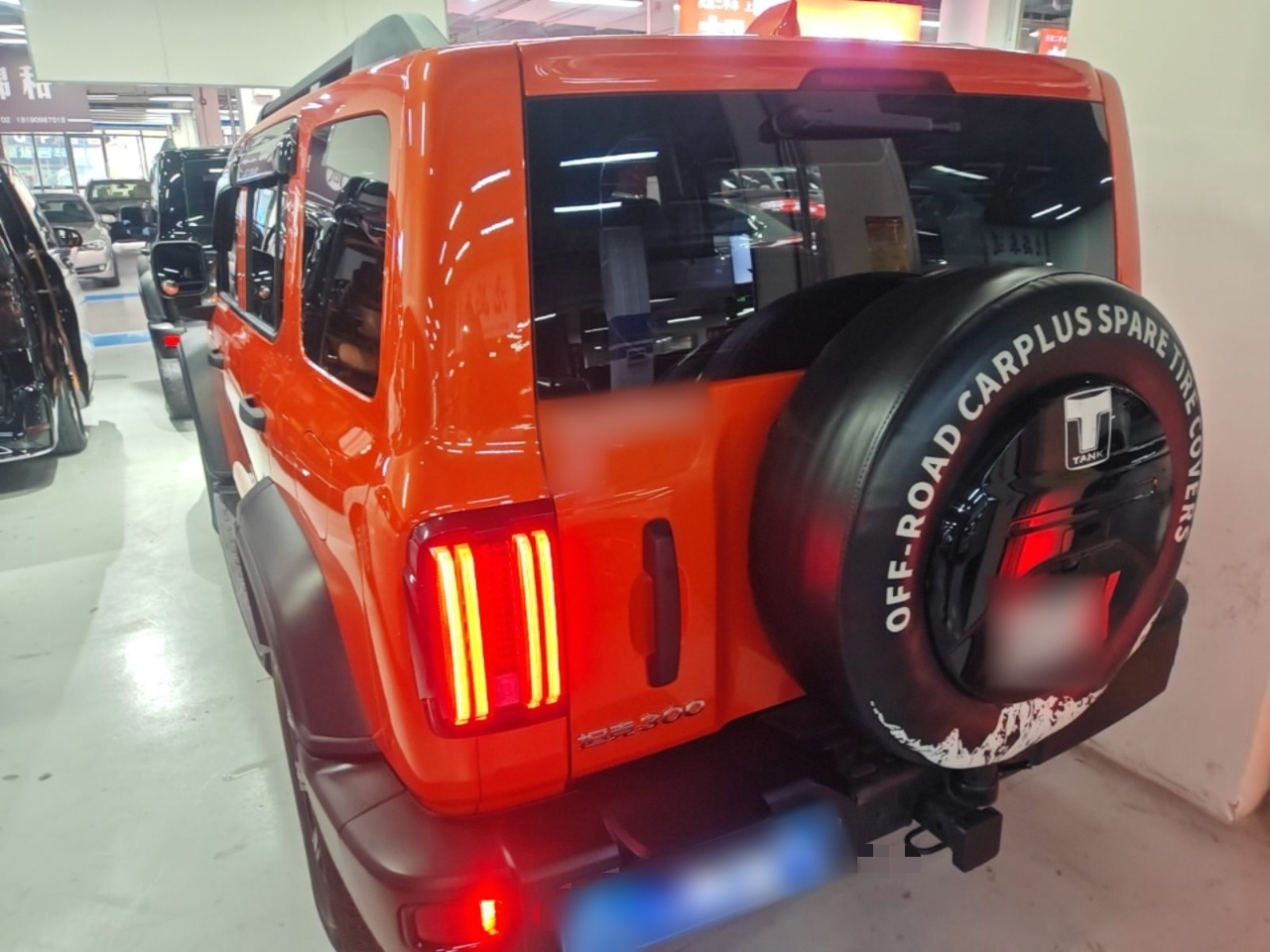 300 2021 Off-road 2.0T Conqueror photo 4