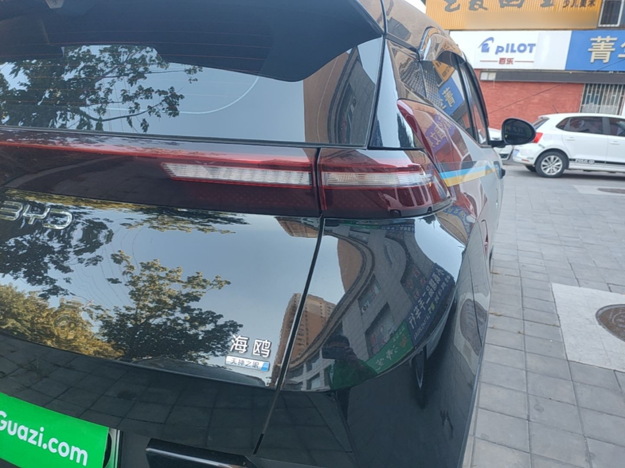 Seagull 2025 ADAS 305km photo 2