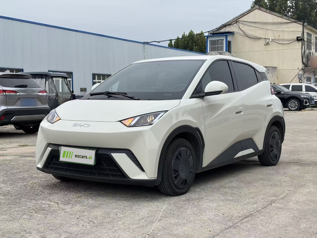 Seagull 2025 305km