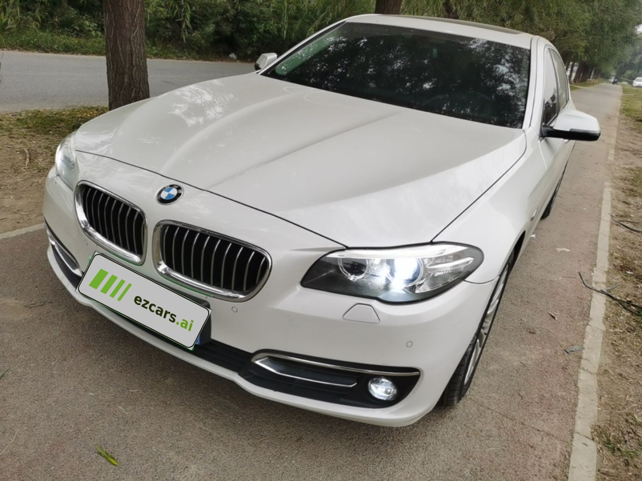 5 Series 2017 525Li Luxury Design Package