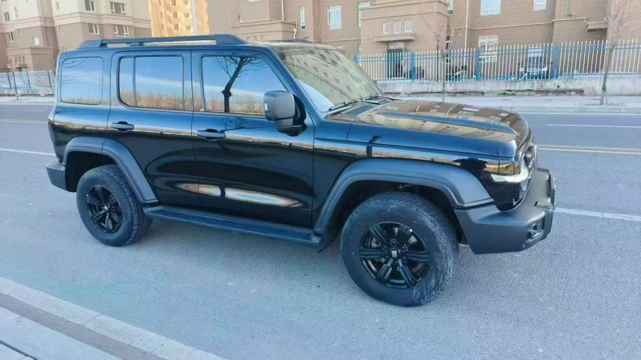 300 2021 Off-road 2.0T Conqueror photo 3