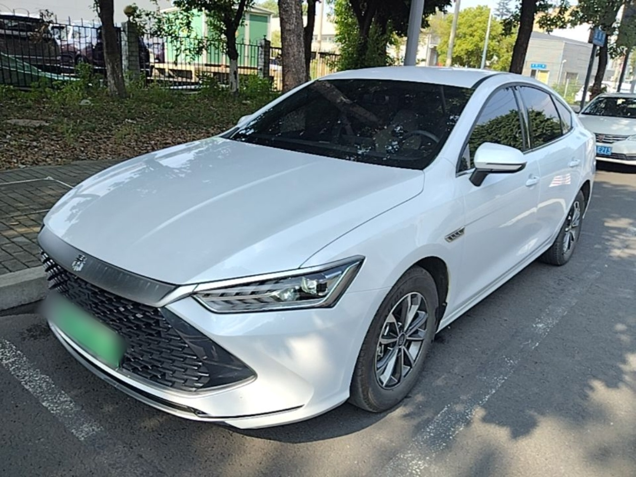 Qin PLUS 2024 Honor DM-i 55KM Leading