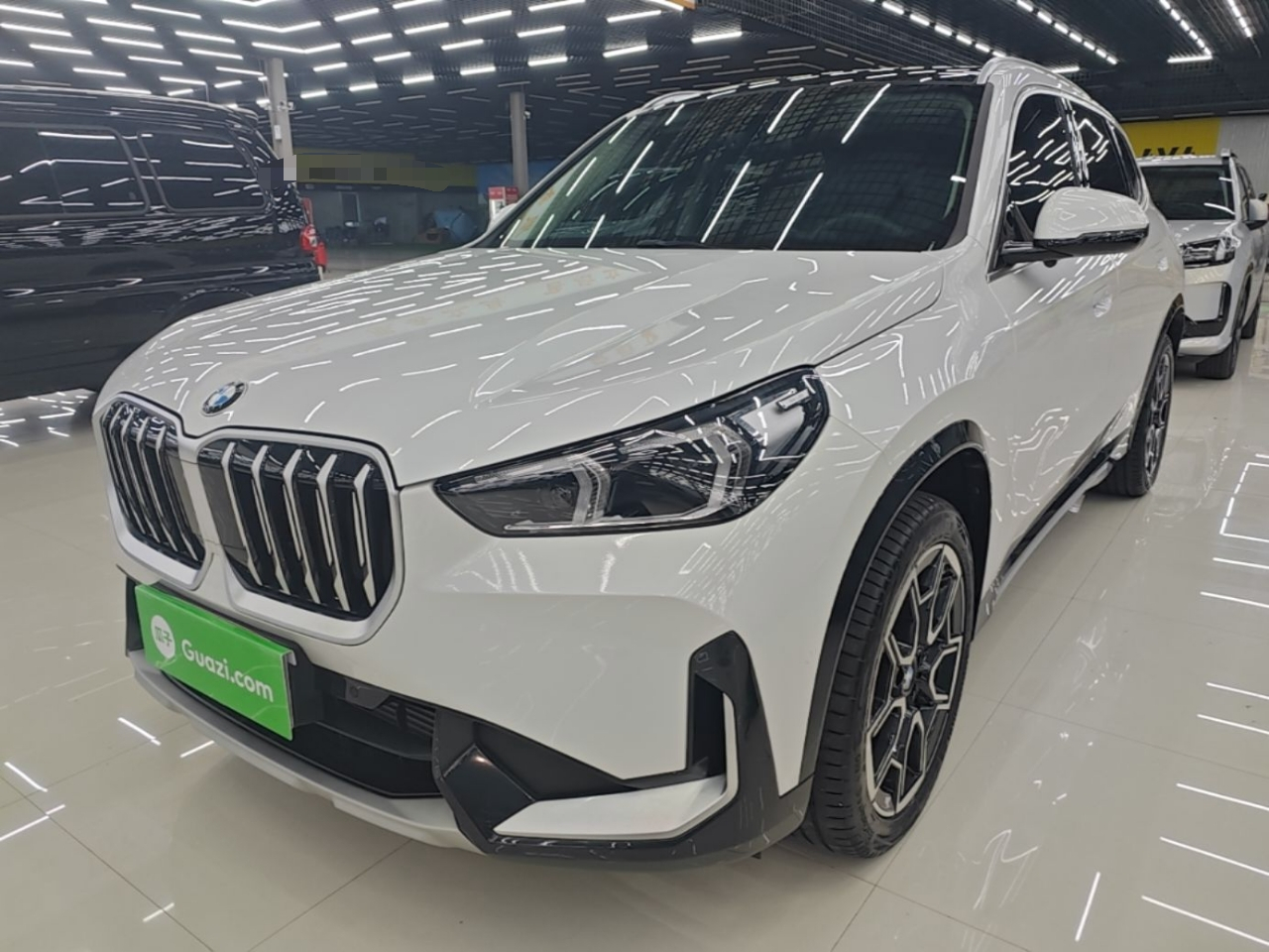 X1 2024 sDrive25Li X Design Package
