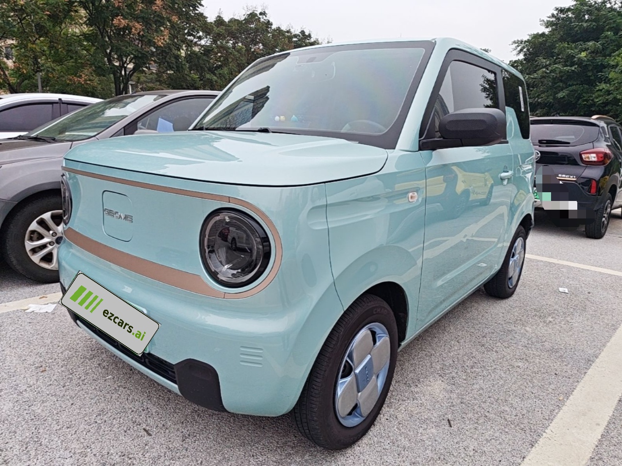 2023 Panda mini 200km Endurance Bear