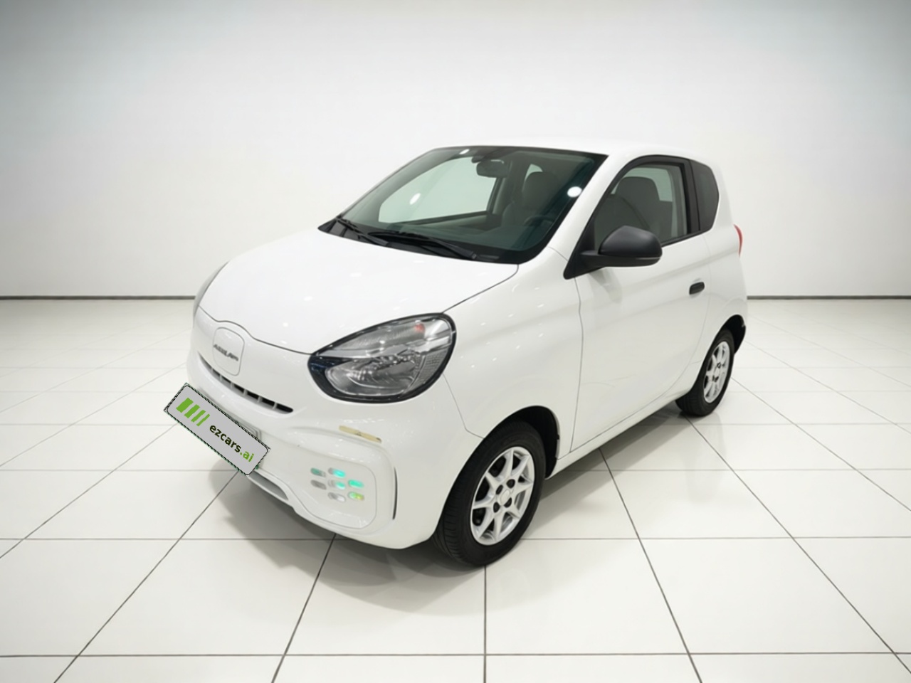 Clever R 2022 311km Yuan