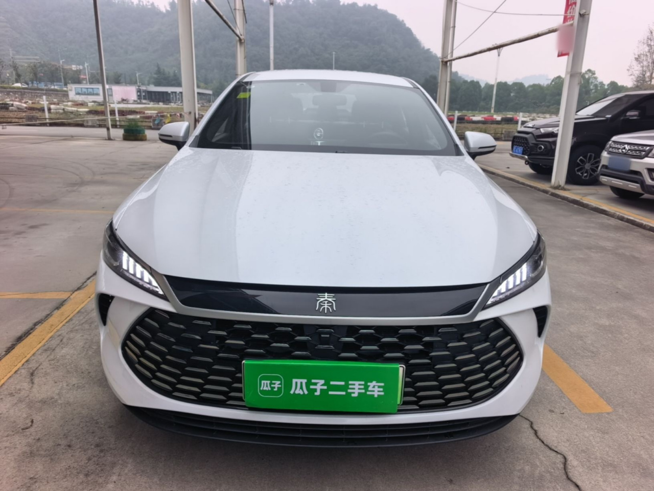 Qin PLUS 2025 DM-i ADAS 55KM Leading photo 2