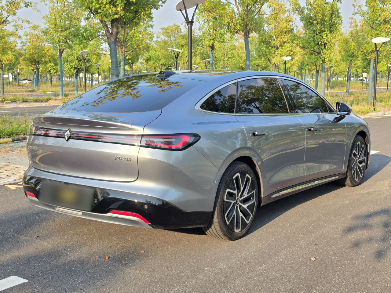 2025 EV 600km Luxury photo 4