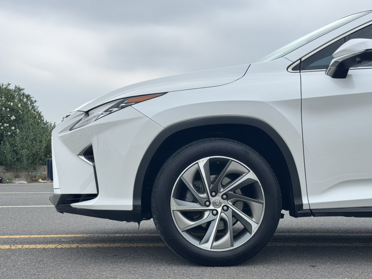 RX 2016 300 AWD Elegant China V photo 4