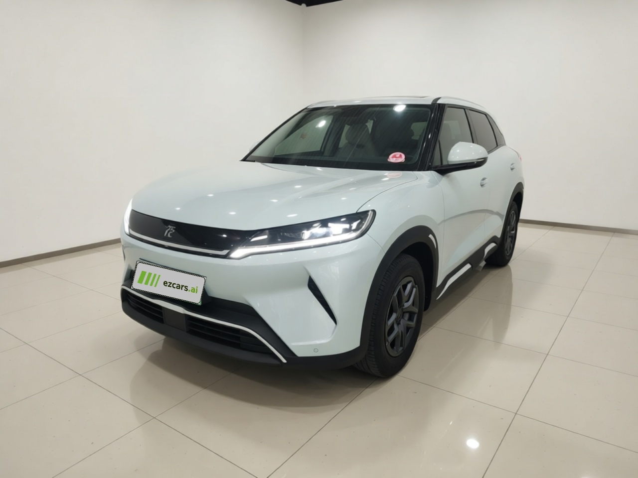 Yuan UP 2025 301KM Pilot