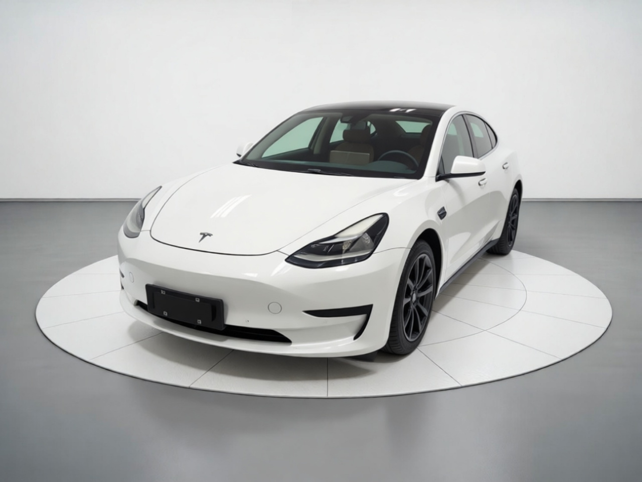 Model 3 2021 Standard Range RWD Upgraded 3D6