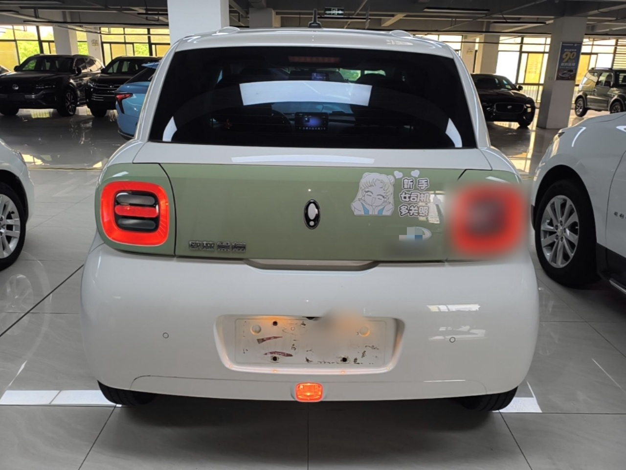 2022 Facelift 301km LFP photo 5