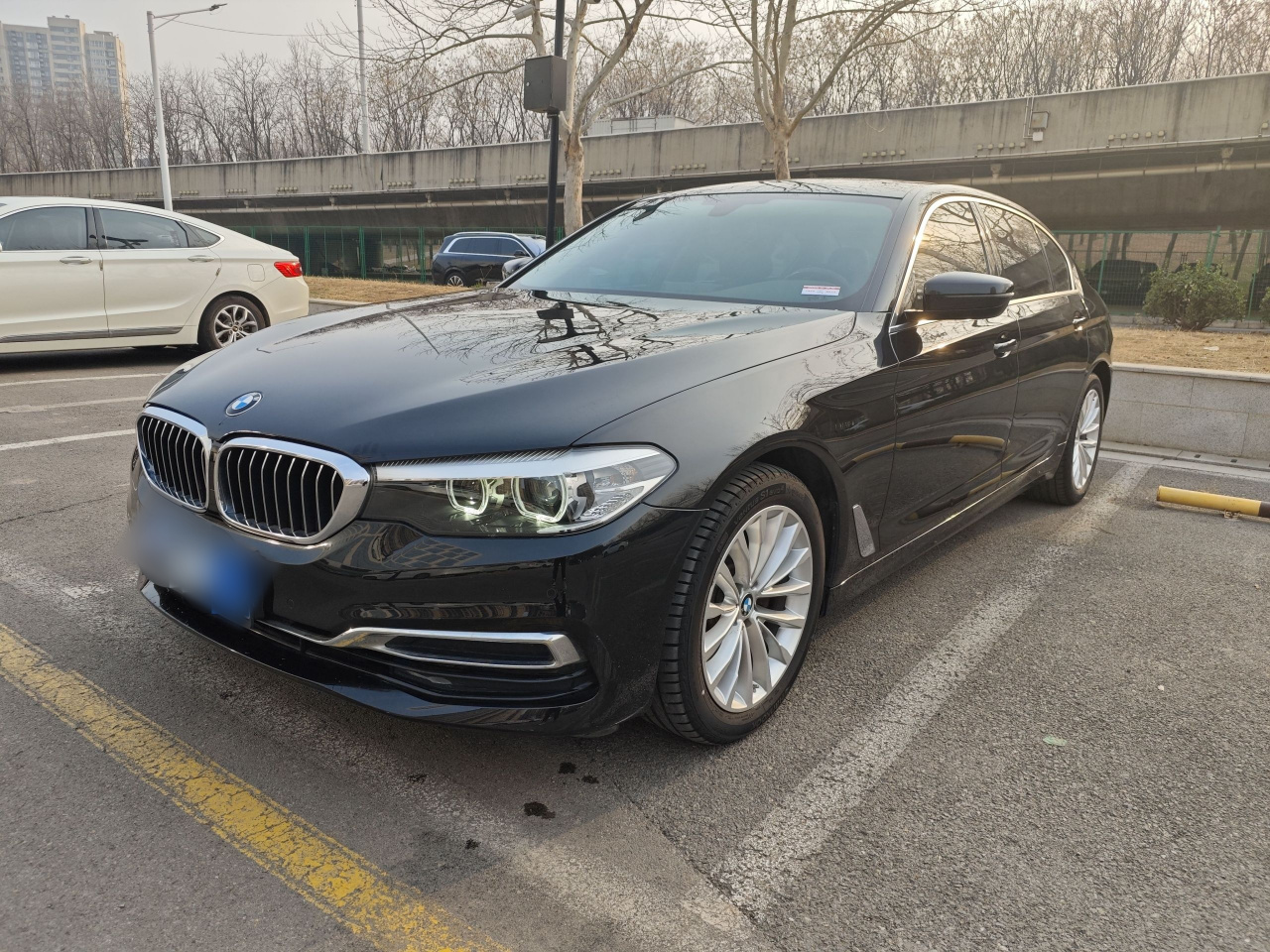 5 Series 2020 525Li Luxury